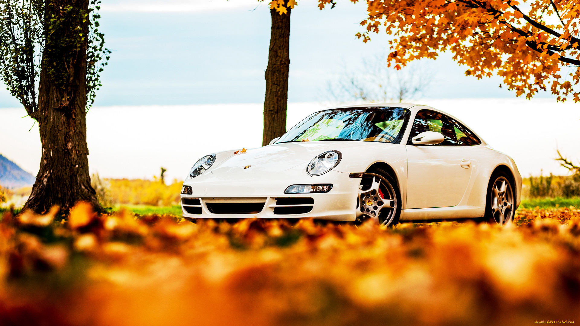 porsche, 911, carrera, , , , 